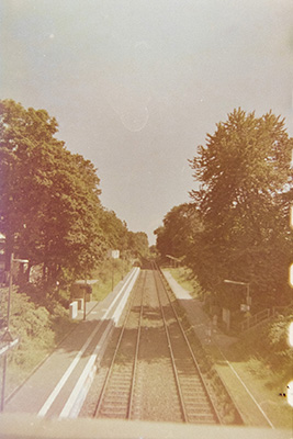 Zentralperspektive auf Eisenbahnschienen, die in die Ferne verlaufen. Beidseitig gesäumt von Bäumen.