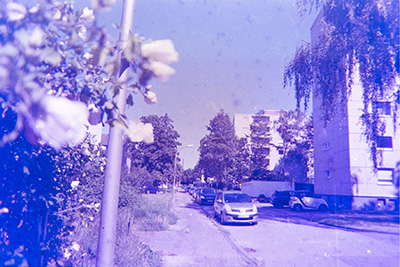 Blick auf eine Straße mit parkenden Autos am Straßenrand, Hochhäusern und Bäumen. Am linken Bildrand blüht ein Busch oder kleiner Baum.