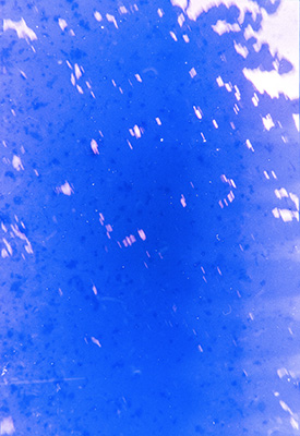 Silhouettenhafte, blaue Darstellung einer dichten Baumkrone vor hellem Hintergrund. Reduzierte, kontrastreiche Komposition.