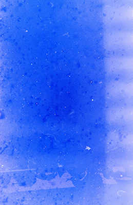 Einheitlich blaues Bild mit kleinen Flecken. Am rechten Bildrand ein heller vertikaler Streifen, unterbrochen von dunklen Linien. Unten angedeutete Umrisse einer Pflanze.