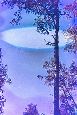 Hochformat. Eine hohe Birke vor blauem Himmel. Eine ovale, horizontale Öffnung durchbricht den lila-blauen Farbschleier im oberen Bilddrittel.