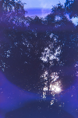 Hochformat. Dunkle, fast silhouettehafte Bäume vor blauen Himmel. Hinter dem Wald scheint die Sonne tief zu stehen. Der Farbschimmer liegt in lila-blauen Tönen über dem Bild.